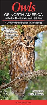 Owls of North America Including Nighthawks and Nightjars: A Comprehensive Guide to All Species